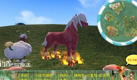 创造与魔法里马的饲料怎么做